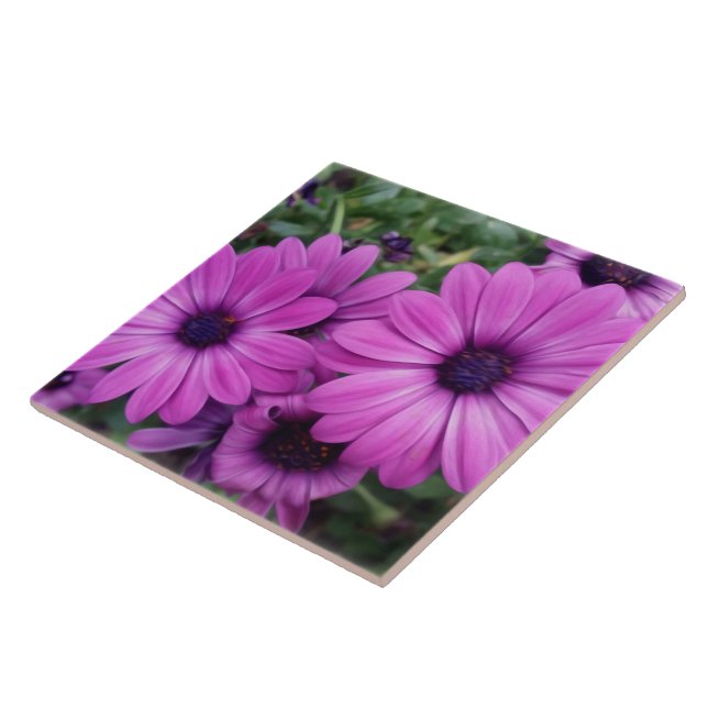Purple daisies ceramic tile (Side)