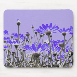 Purple Daisies Mousepad
