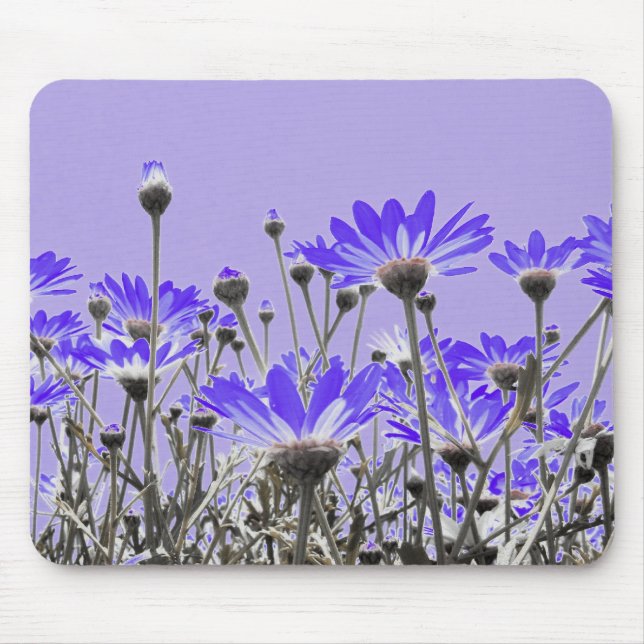Purple Daisies Mousepad (Front)