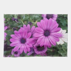 Purple daisies tea towel