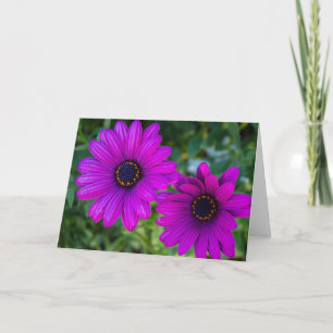 Purple Daisy Card - Blank Inside
