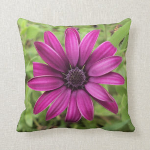 Purple Daisy Cushion