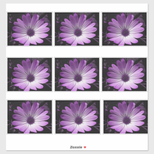 Purple Daisy Flower (Sheet)