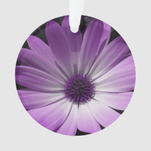 Purple Daisy Flower Acrylic Ornament