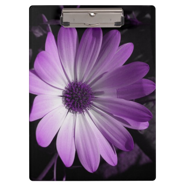 Purple Daisy Flower Clipboard (Front)