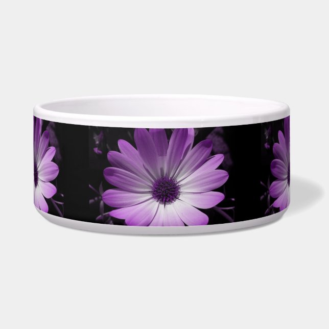Purple Daisy Flower Dog Bowl (Front)