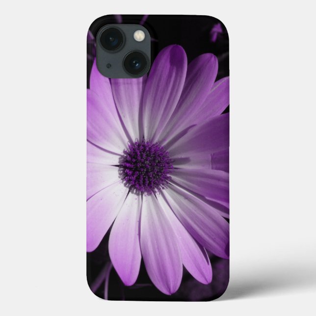 Purple Daisy Flower iPhone Case (Back)