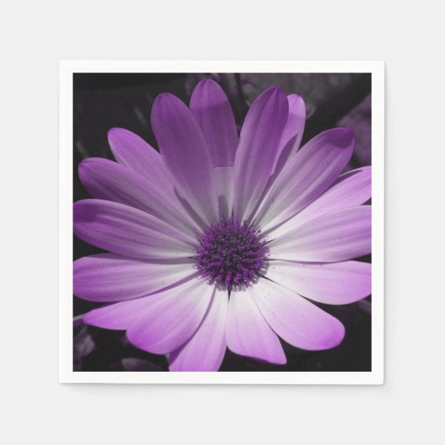 Purple Daisy Flower Napkins (Front)