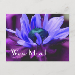 Purple Daisy Flower New Address Announcement Postcard