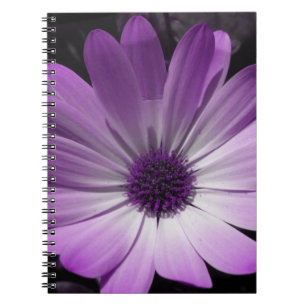Purple Daisy Flower Notebook