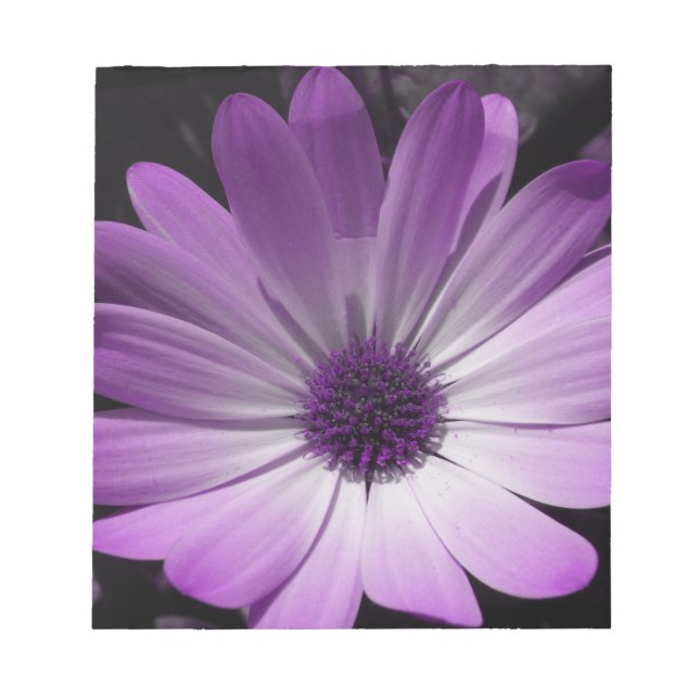 Purple Daisy Flower Notepad (Front)