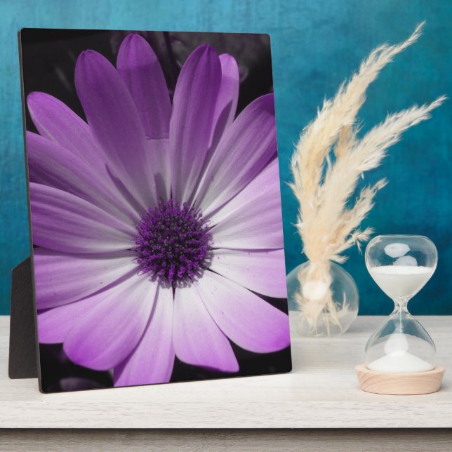 Purple Daisy Flower Plaque (Side)