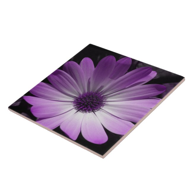 Purple Daisy Flower Tile (Side)