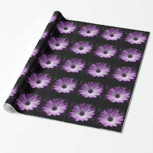 Purple Daisy Flower Wrapping Paper