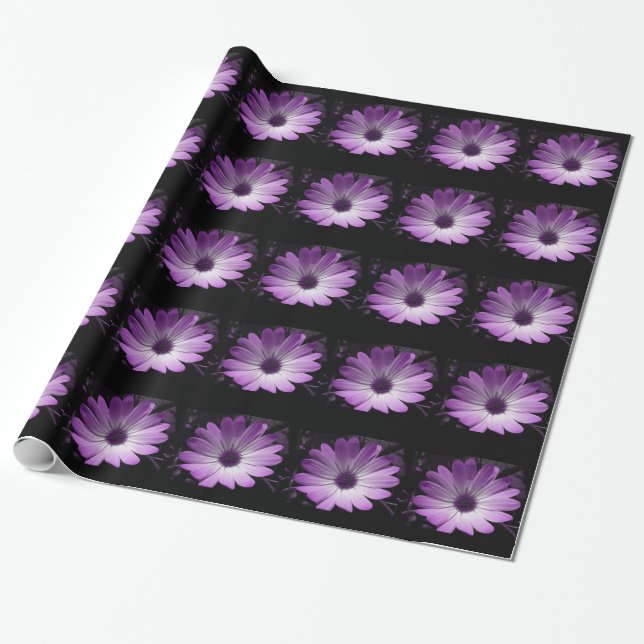 Purple Daisy Flower Wrapping Paper (Unrolled)