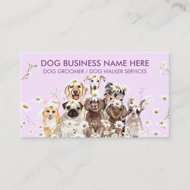 Purple Daisy Flowers Pet Sitter Walker dog petcare Business Card (Front)