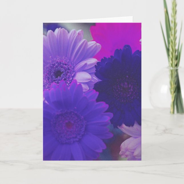 Purple Daisy Flowers Photo Note or Greeting Cards (Front)