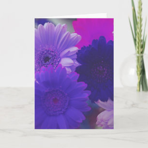 Purple Daisy Flowers Photo Note or Greeting Cards