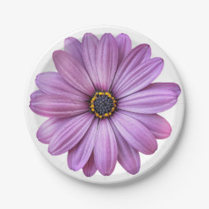 Purple Daisy Party Paper Plates