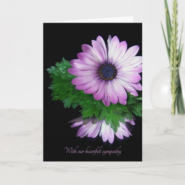 purple daisy reflection on mirror sympathy card (Front)