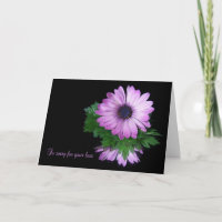 Purple Daisy Reflection Sympathy