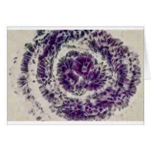 Purple Daisy Swirl