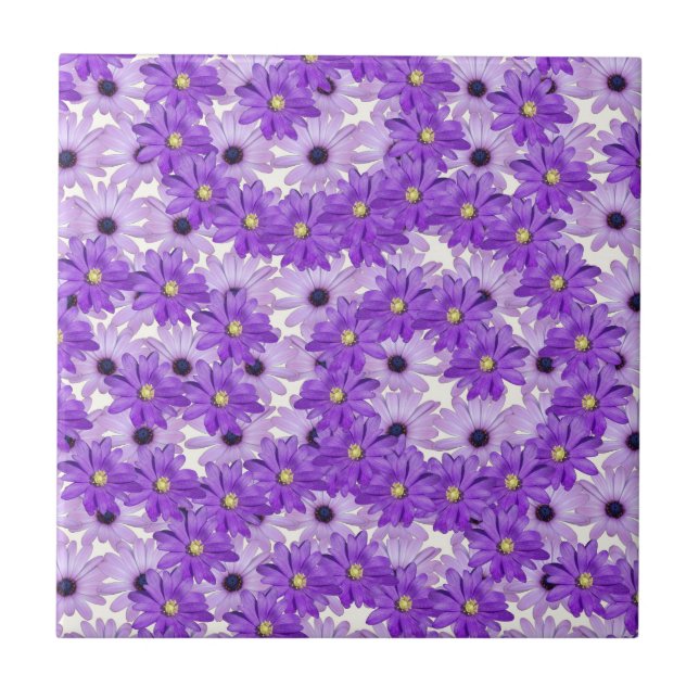 Purple Daisy Swirls Ceramic Tile (Front)