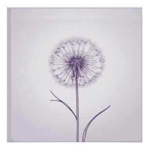 Purple Dandelion  Poster