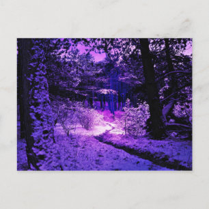 Purple Dark and Dire Postcard