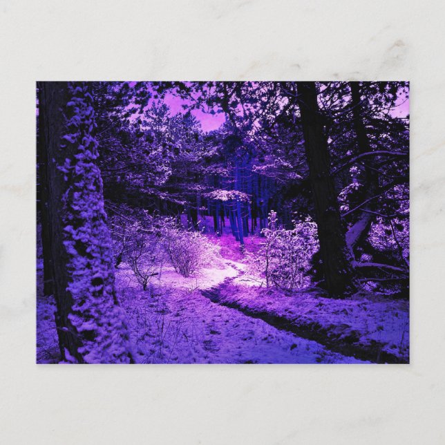 Purple Dark and Dire Postcard (Front)