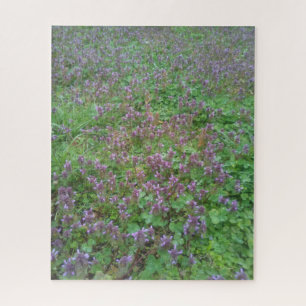 Purple Dead Nettle Puzzle