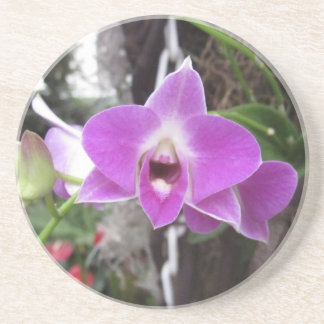 Purple Dendrobium Orchid Coaster