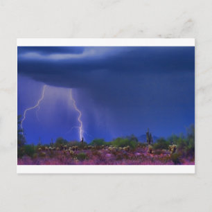 Purple Desert Storm Postcard