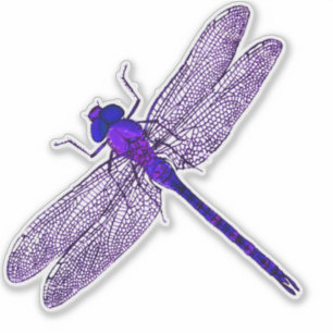 Purple Dragonfly Contour