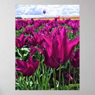 Purple Dream Tulips Poster