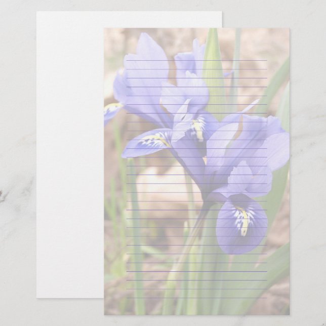 Purple Dwarf Iris Floral Lined Paper Stationery (Front/Back)