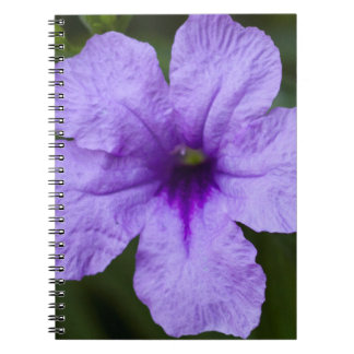 Purple Dwarf Mexican Petunia Notebook