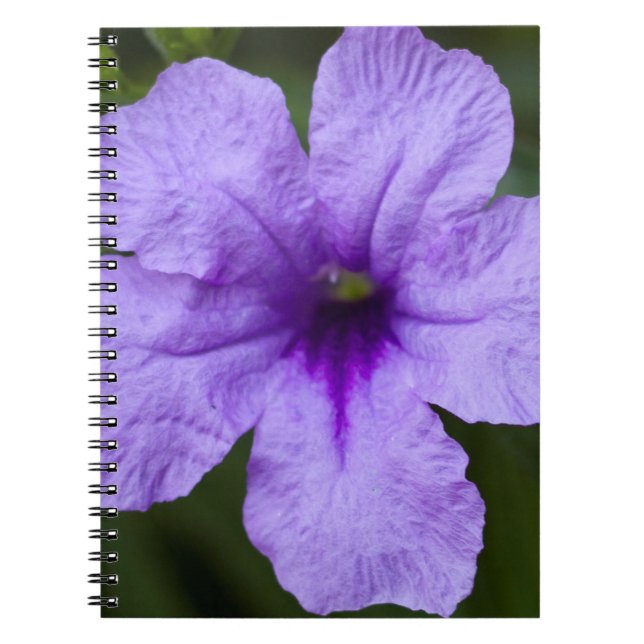 Purple Dwarf Mexican Petunia Notebook (Front)