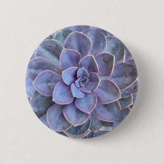 Purple Echeveria Succulents 6 Cm Round Badge