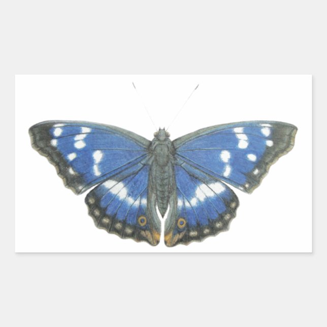 Purple Emperor 2012 Rectangular Sticker (Front)