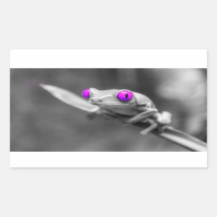 Purple-eyed frog rectangular sticker