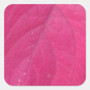 Purple Fall Leaf Square Sticker