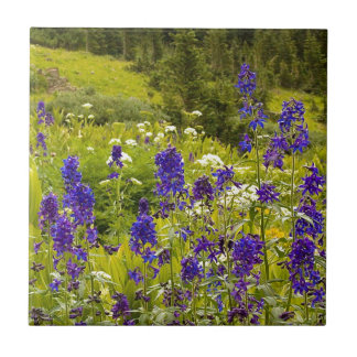 Purple Field Ceramic Tile