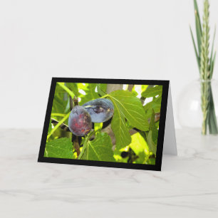 Purple Figs in Tree Card
