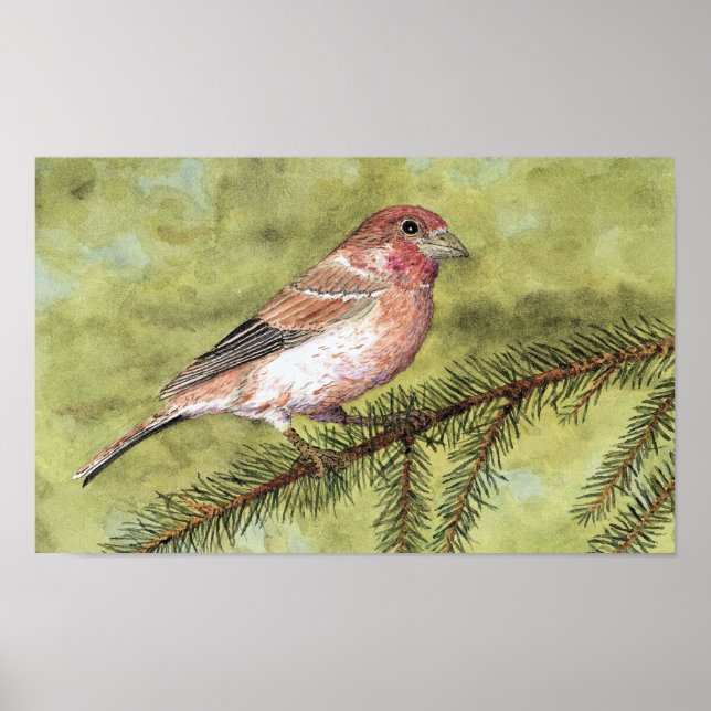 Purple Finch Art Poster (Front)