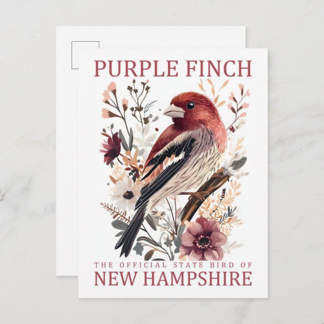 Purple Finch Bird of New Hampshire USA Travel Postcard (Front/Back)