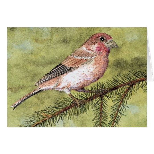 Purple Finch Greetings Card