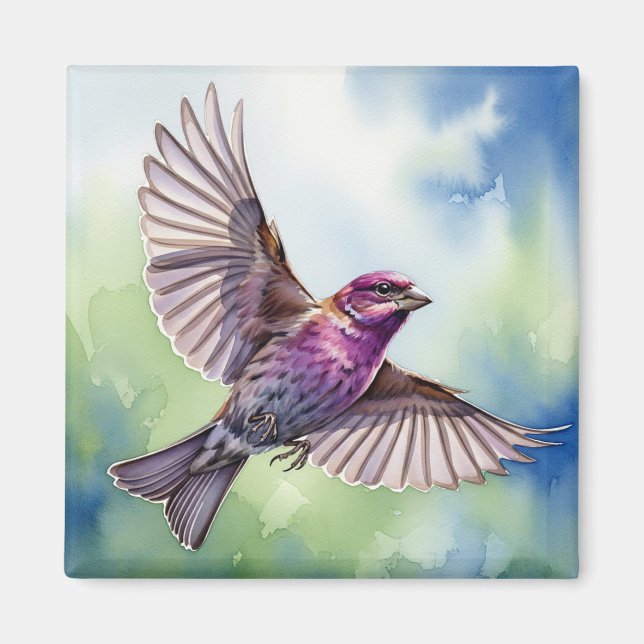 Purple Finch in flight Magnet (Front)