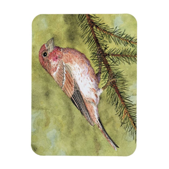 Purple Finch Magnet (Vertical)