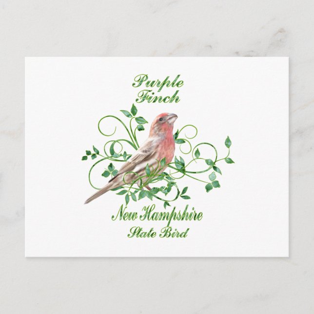 Purple Finch New Hampshire State Bird Postcard (Front)